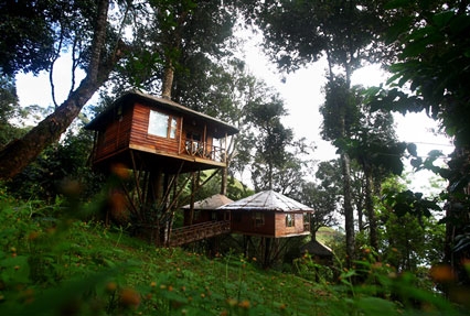 Best of Kerala with Treehouse Stay - atozholidays